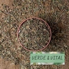 HIERBA POLEO