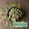 LAUREL HOJA PARTIDA