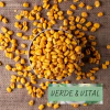 MAIZ TOSTADO FRITO BARBACOA x250g - comprar online