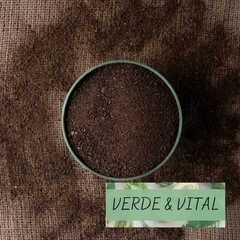 PIMIENTA - VARIEDAD - Verde & Vital
