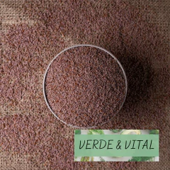 SEMILLA PSYLLIUM