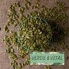 SEMILLA ZAPALLO AA