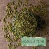 SEMILLA ZAPALLO AA