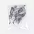 Ryuk - Death Note - comprar online