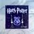 Brinco Harry Potter