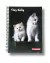 CADERNO 10MT/160F CAPA DURA ESPIRAL CÃES E GATOS na internet