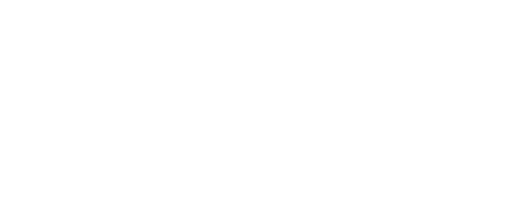 Single Fin