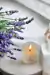 Vela Clássica Lavanda 145g - comprar online