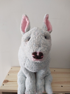 bull terrier en internet