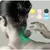 Mini Massageador Inteligente Portátil Muscular Corporal Relaxante - comprar online