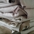 RIGID LEATHER - buy online
