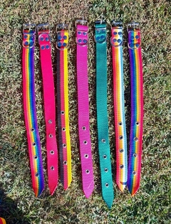 Collar Simple Regulable
