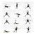 Flex Barra Vibradora Entrenamiento Abdominales Espalda