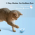 Bola inteligente (Pets) na internet