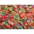 Fimo fatiado frutas - comprar online