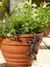 Lagartixa Jardineira - loja online