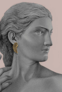 Black wings earrings on internet