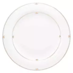 1 CONJUNTO C/06 PRATOS RASOS 28 CM - DINASTY