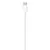 Cabo Lightning Original Tipo C iPhone Novo 1 Metro - Branco - comprar online