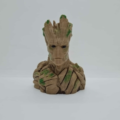 Busto Groot