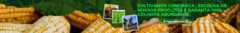 Banner da categoria AGRO