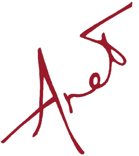 the A net