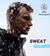 Focus One - SoundFy