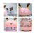 Umidificador Encantador Carrossel Luz Suave LED (ROSA)