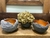 Bowl para velas, flores P M G - comprar online