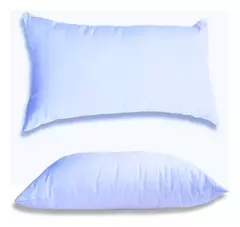 ALMOHADA DUVETINA - comprar online