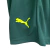 Kit Infantil Palmeiras II 23/24 Puma - Verde Limão - CAMISAS DE FUTEBOL | Doctor Mantos