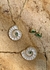 Imagem do Pulseira Fibonacci