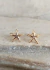 Brinco Estrela Do Mar - comprar online