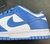 NK Dunk Low UNC