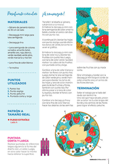 REVISTA DE BORDADO EXTRA LARGE 6 - PUNTADAS DECORATIVAS na internet