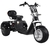 Triciclo Elétrico KGX 2500W - comprar online
