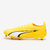 Puma Ultra Ultimate FG/AG - buy online