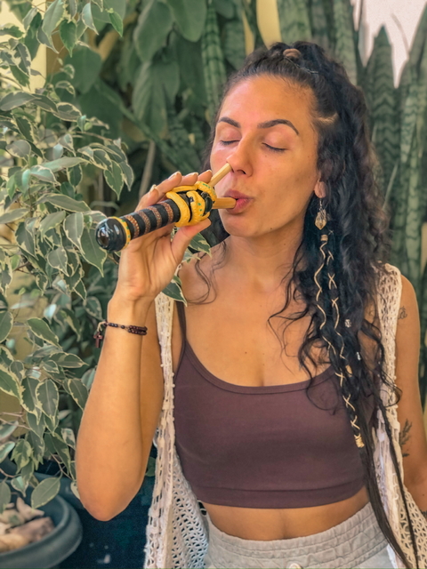 Banner da categoria Curipes