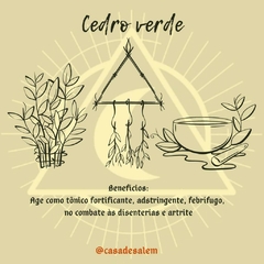 Ervas para chás / banhos / defumações