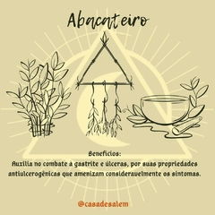 Ervas para chás / banhos / defumações - Casa De Salem