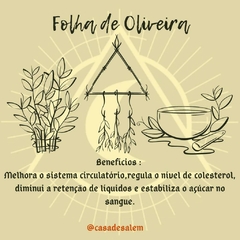Ervas para chás / banhos / defumações - Casa De Salem