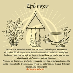Ipê Roxo - comprar online