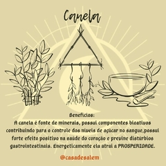 Canela em pau - comprar online