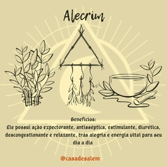 Alecrim - comprar online
