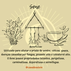Sene - comprar online