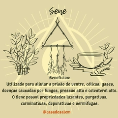 Ervas para chás / banhos / defumações - comprar online
