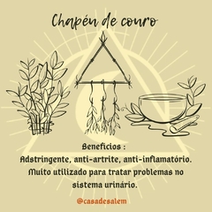 Chapéu de Couro - comprar online