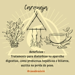 Carqueja - comprar online