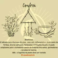 Ervas para chás / banhos / defumações - Casa De Salem