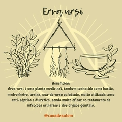 Ervas para chás / banhos / defumações - loja online